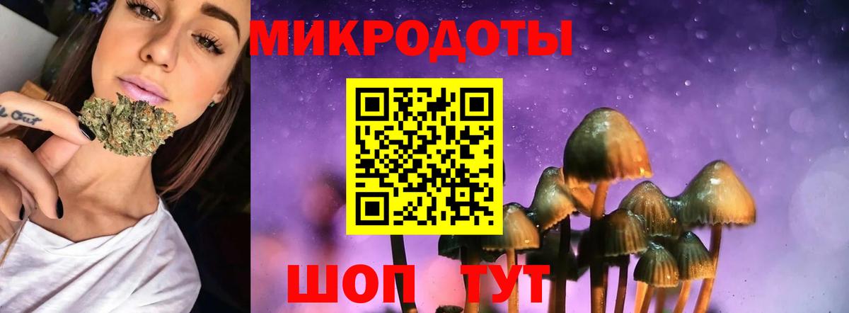 Псилоцибиновые грибы Cubensis  Вход с VPN  Новоуральск  Псилоцибиновые грибы Psilocybe 